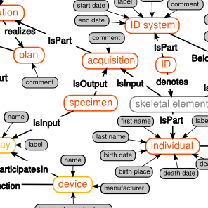 AnthroGraph
